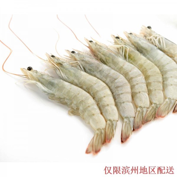 01 白虾/2公斤（仅限滨州地区配送）