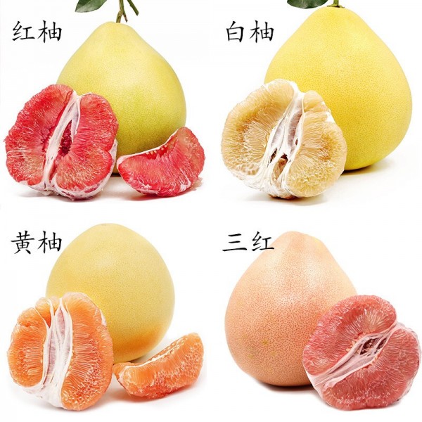 【福建琯溪四色彩柚4粒装重约8斤左右/箱】